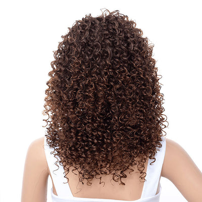 Afro Wig – African Small Curl Explosive Style