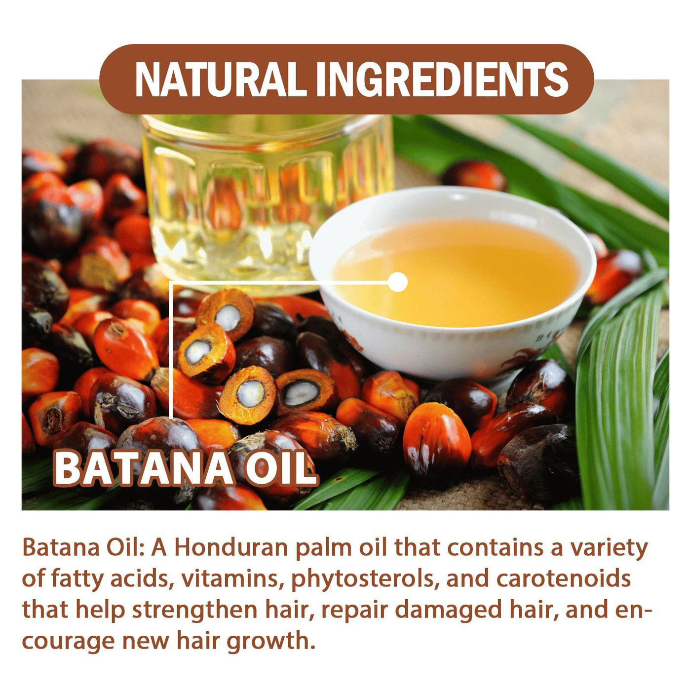 Batana Oil from Honduras – Natural Hair Growth & Repair Treatment